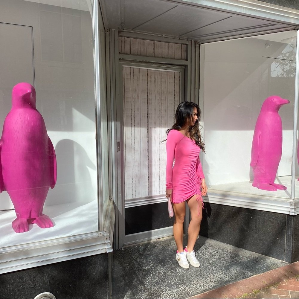 Camila Coelho Lena mini dress. Pink. Small